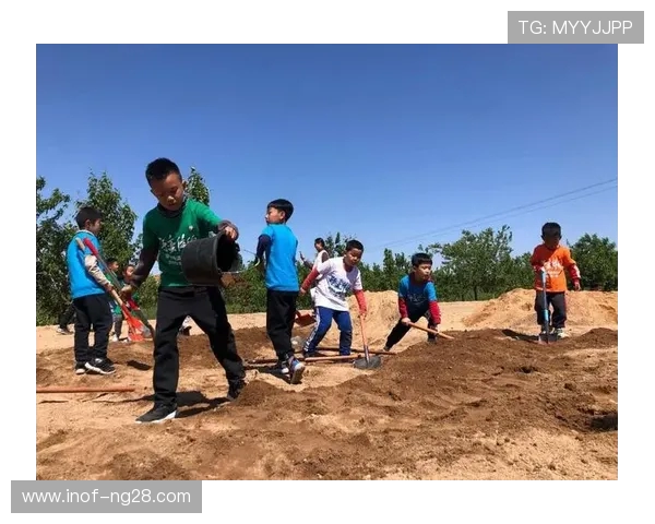 科学健身之道：打造强健体魄与健康生活的全方位指南