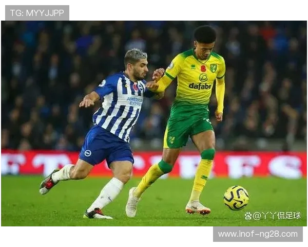 布莱顿与诺维奇对决前瞻分析及比赛结果预测